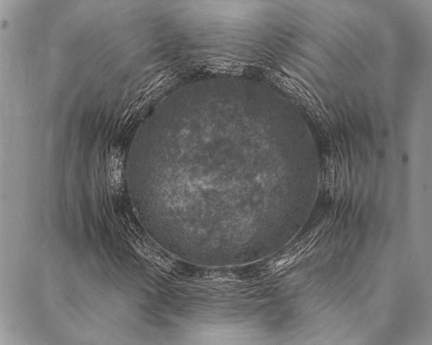 X0000089711154200706211336