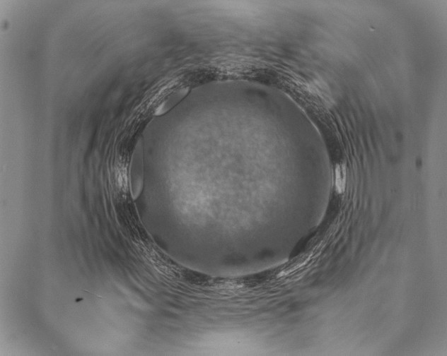 X0000089711155200706211336