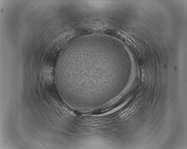 X0000089711156200706211336