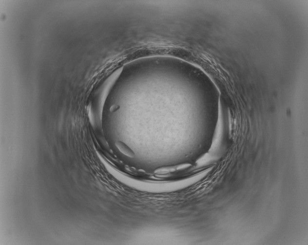 X0000089711157200706211336