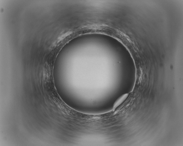 X0000089711158200706211336