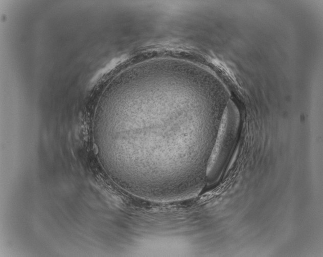 X0000089711159200706211336