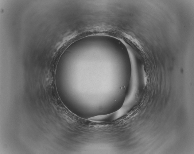 X0000089711160200706211336