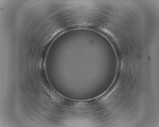 X0000089711161200706211336