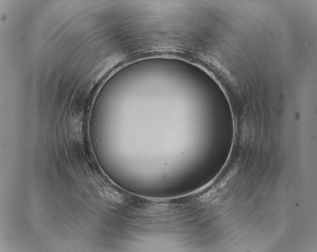 X0000089711162200706211336