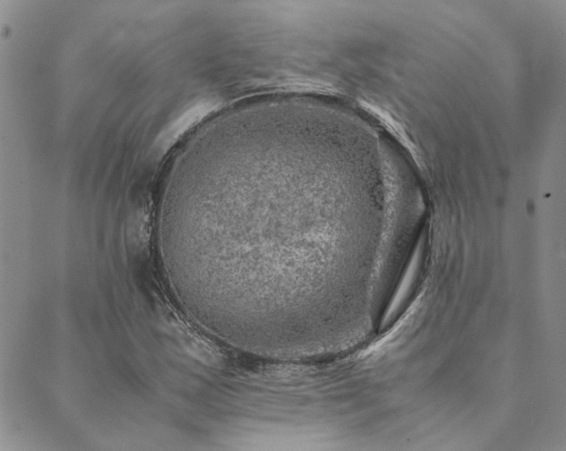 X0000089711163200706211336