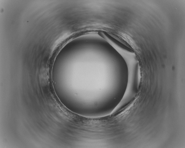 X0000089711164200706211336