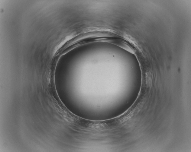 X0000089711165200706211336