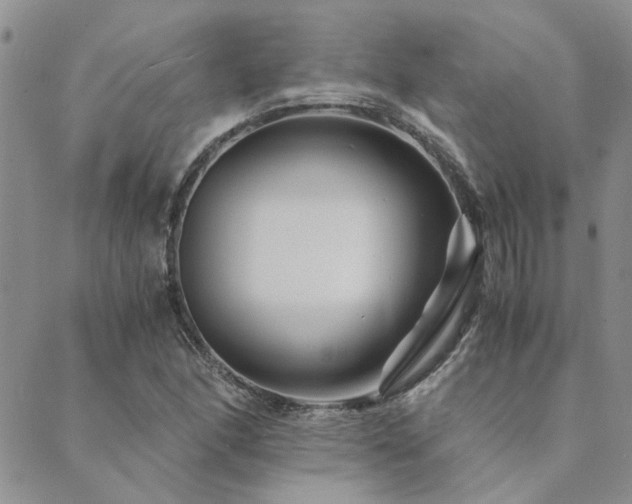 X0000089711166200706211336