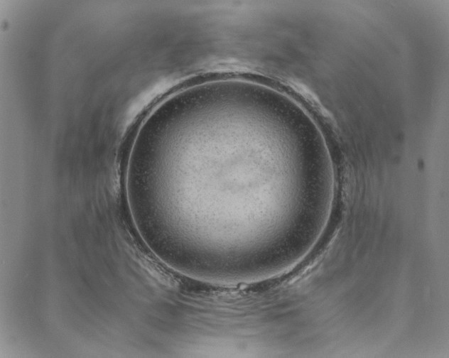 X0000089711167200706211336