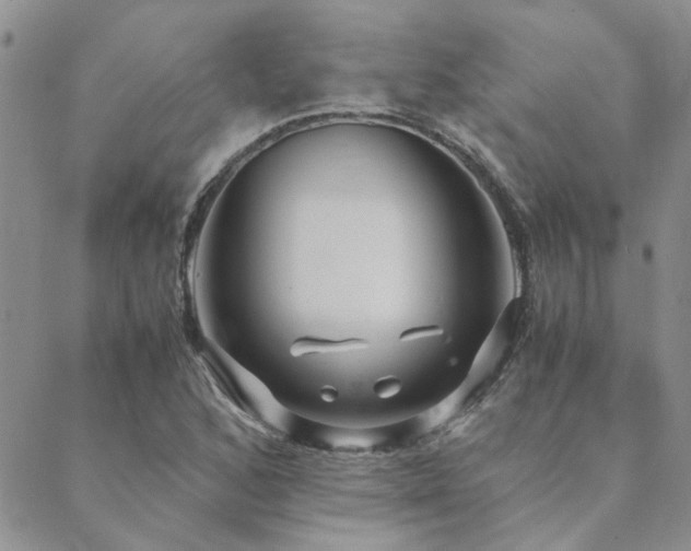 X0000089711168200706211336