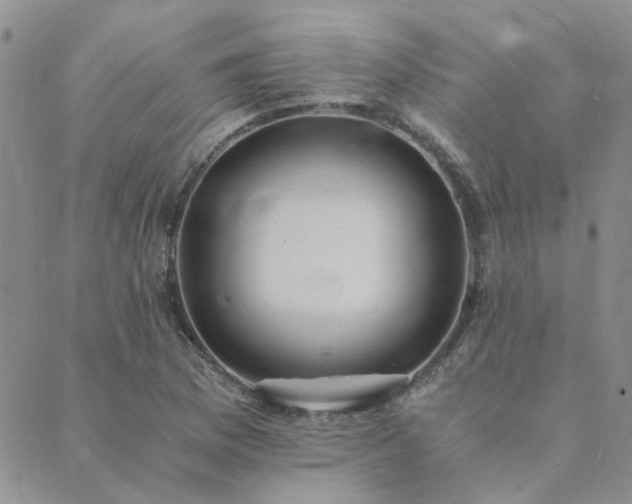 X0000089711169200706211336