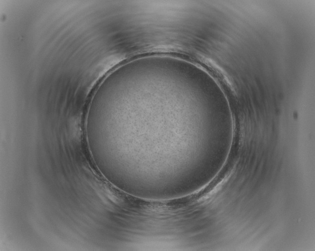 X0000089711170200706211336