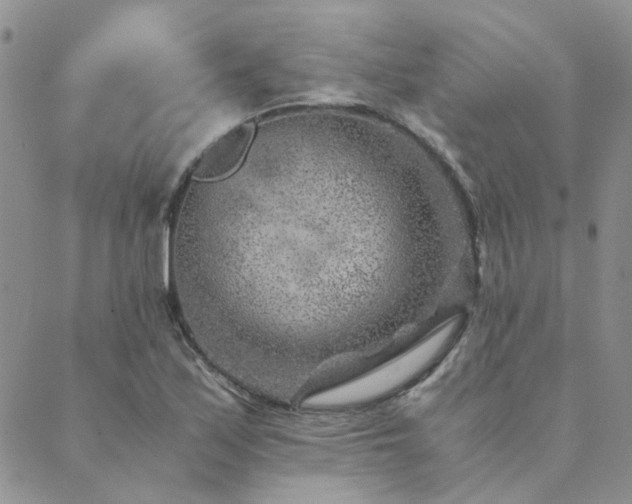 X0000089711171200706211336