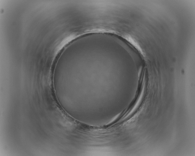 X0000089711173200706211336