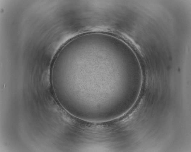 X0000089711174200706211336