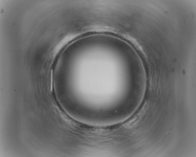 X0000089711175200706211336