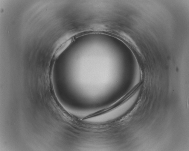 X0000089711176200706211336