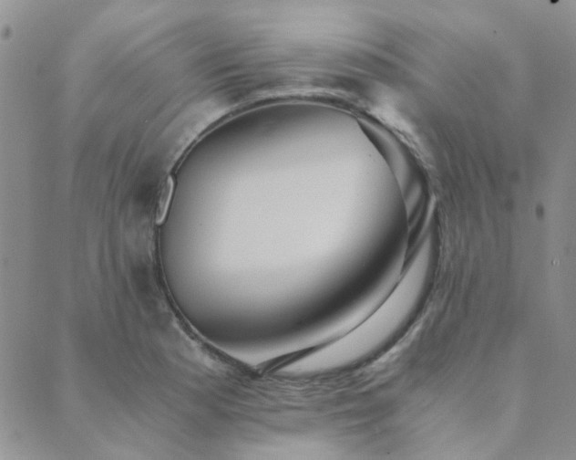 X0000089711177200706211336