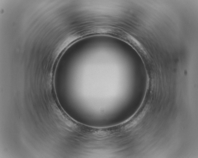 X0000089711178200706211336