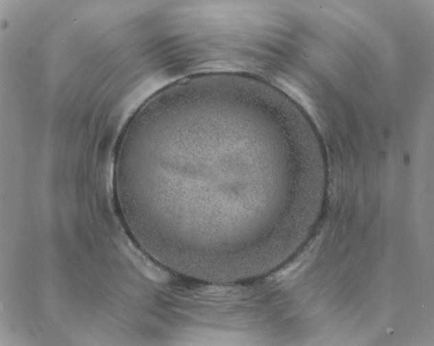 X0000089711179200706211336