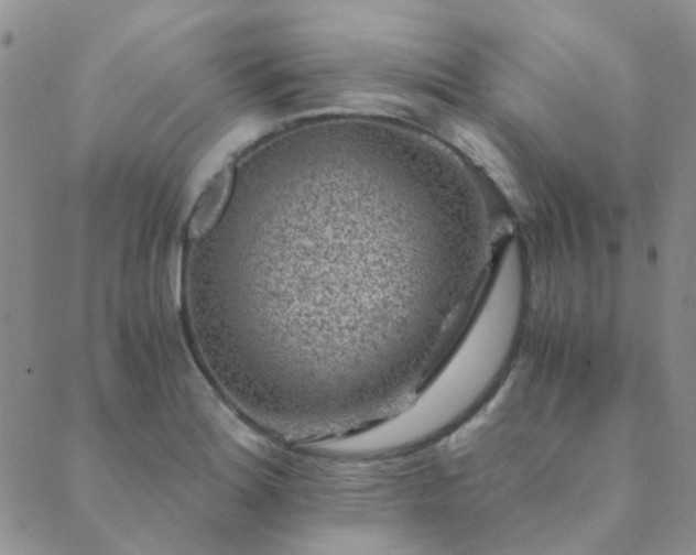 X0000089711180200706211336