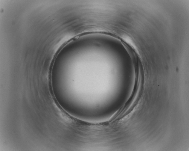 X0000089711181200706211335