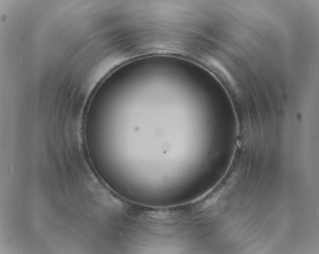 X0000089711182200706211335