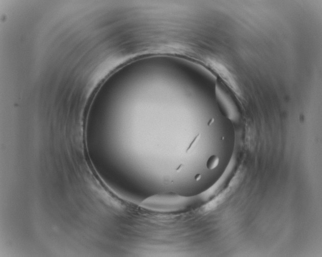 X0000089711184200706211335