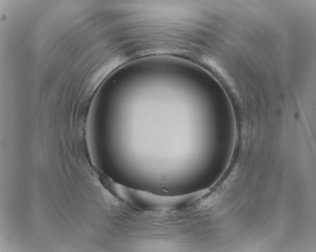 X0000089711185200706211335