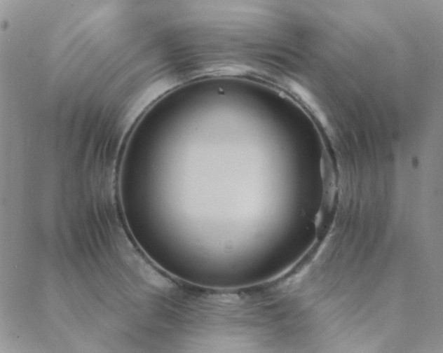 X0000089711186200706211335