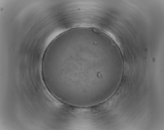 X0000089711187200706211335