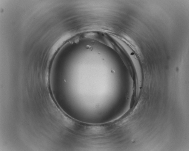 X0000089711188200706211335