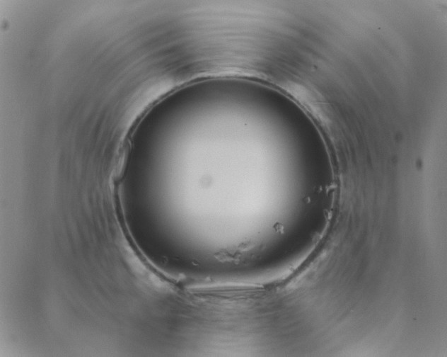 X0000089711189200706211335