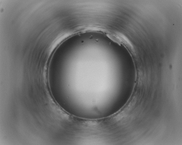 X0000089711190200706211335