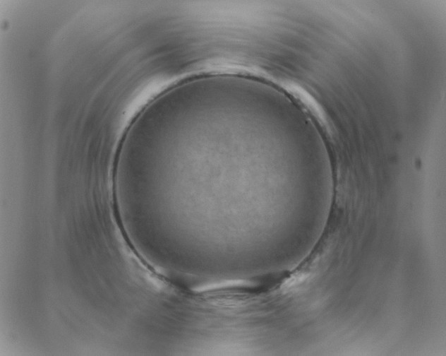 X0000089711191200706211335