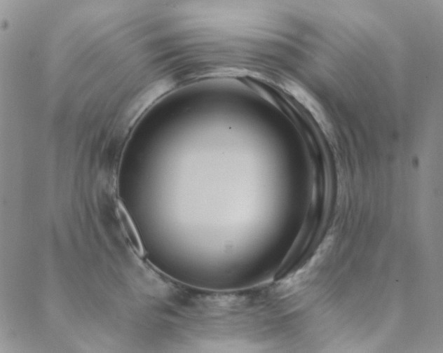 X0000089711193200706211335