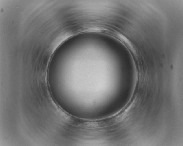 X0000089711194200706211335