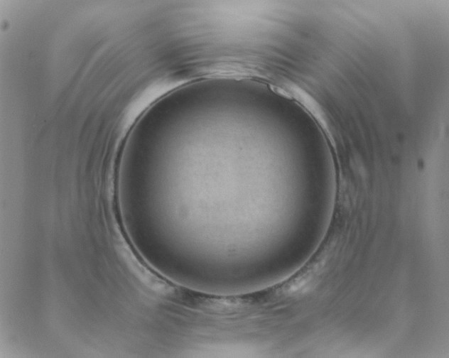 X0000089711195200706211335