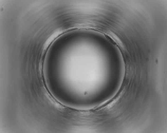 X0000089711196200706211335