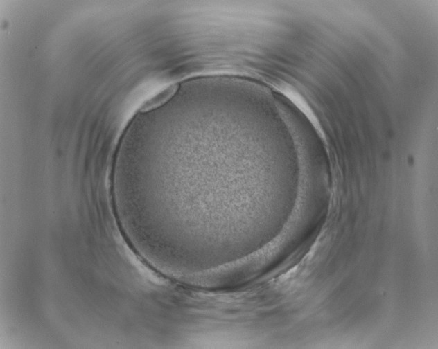 X0000089711197200706211335