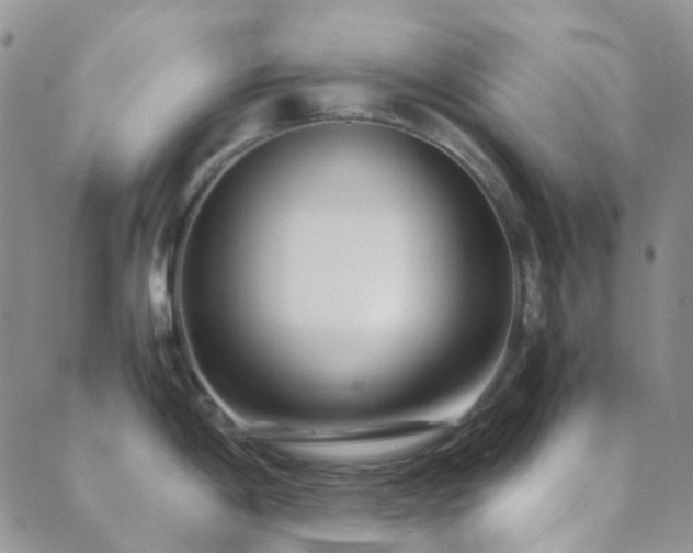 X0000089711198200706211335