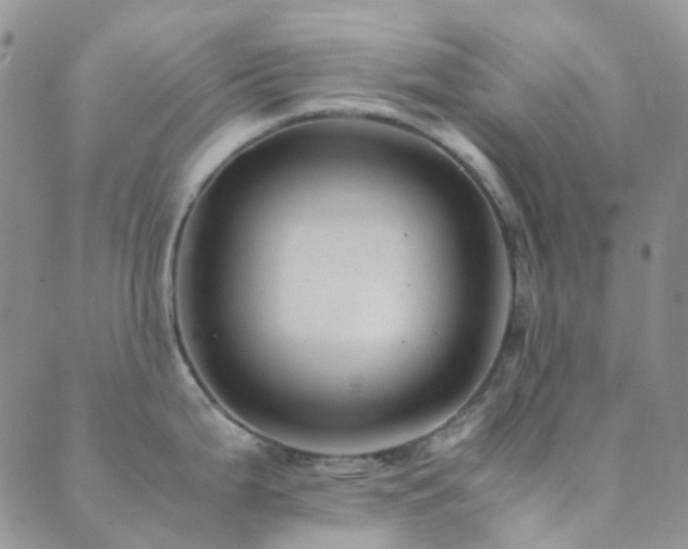 X0000089711199200706211335