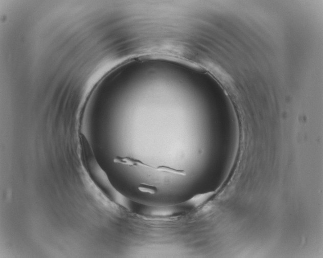 X0000089711200200706211335