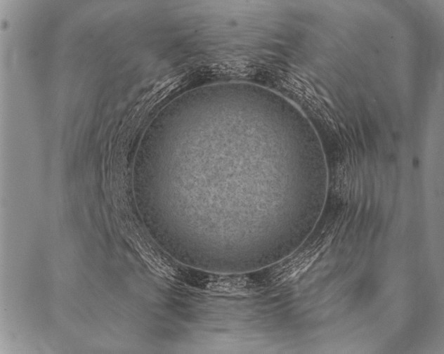 X0000089711201200706211334