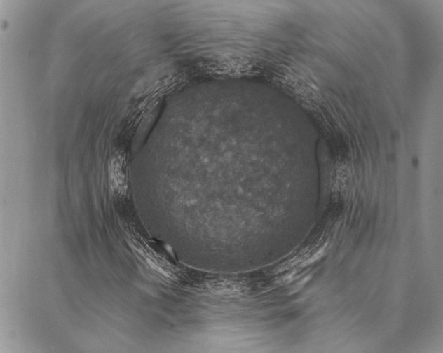 X0000089711202200706211334