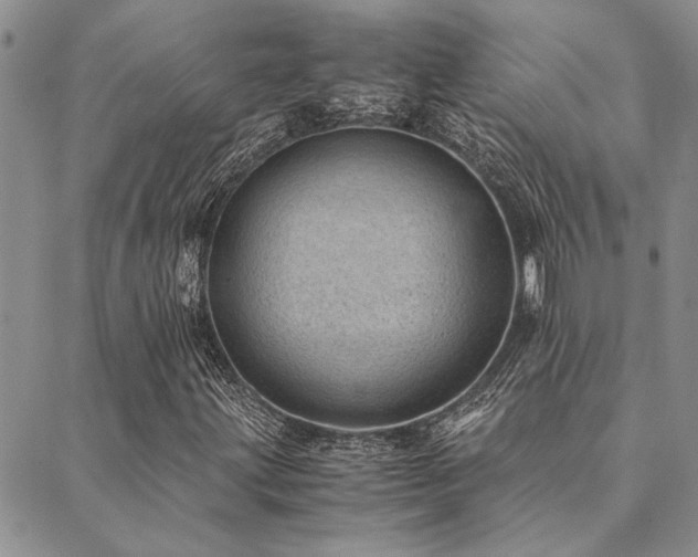 X0000089711203200706211334