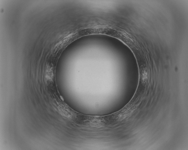 X0000089711204200706211334