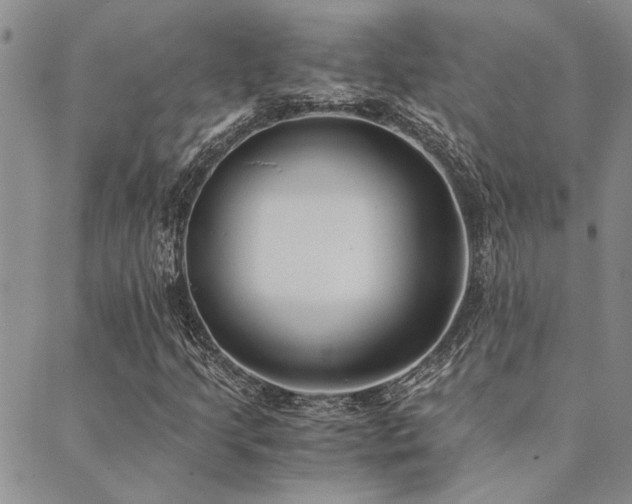 X0000089711205200706211334