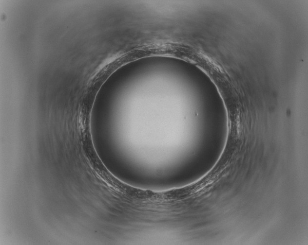 X0000089711206200706211334